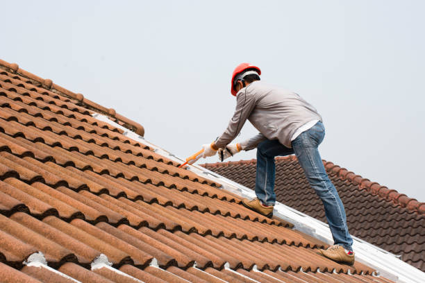Best Storm Damage Roof Repair  in Verdi, NV